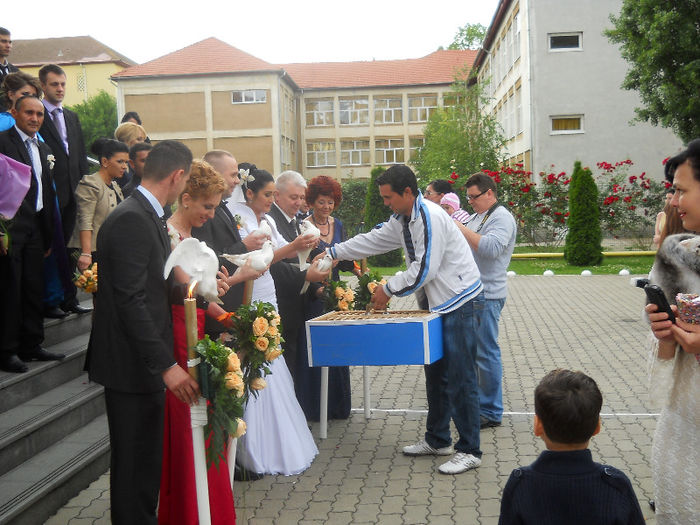 nunta 1 iunie 2013 - Porumbei albi pentru nunti