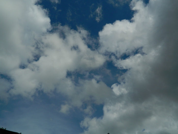 DSCN3574 - IUNIE 2013
