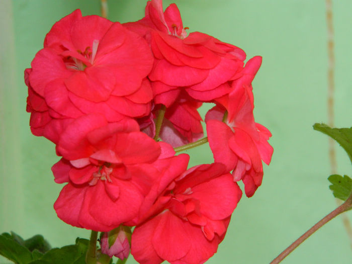DSCN3611