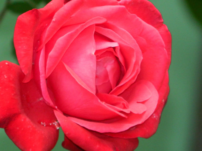 DSCN3635