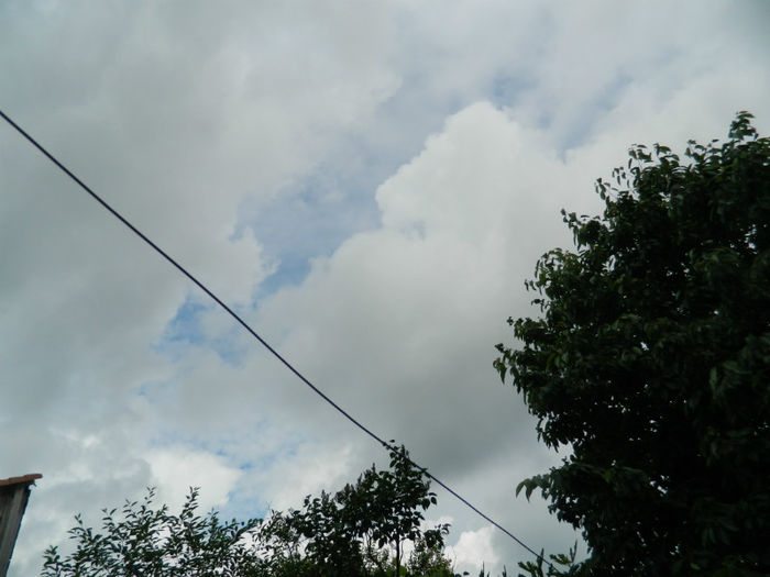 DSCN3663 - IUNIE 2013