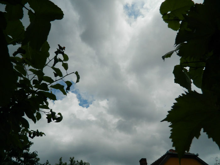 DSCN3714 - IUNIE 2013