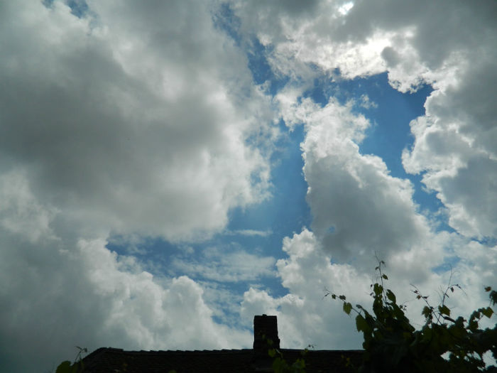 DSCN3717 - IUNIE 2013