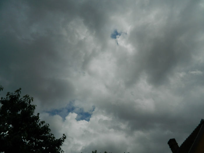 DSCN3719 - IUNIE 2013