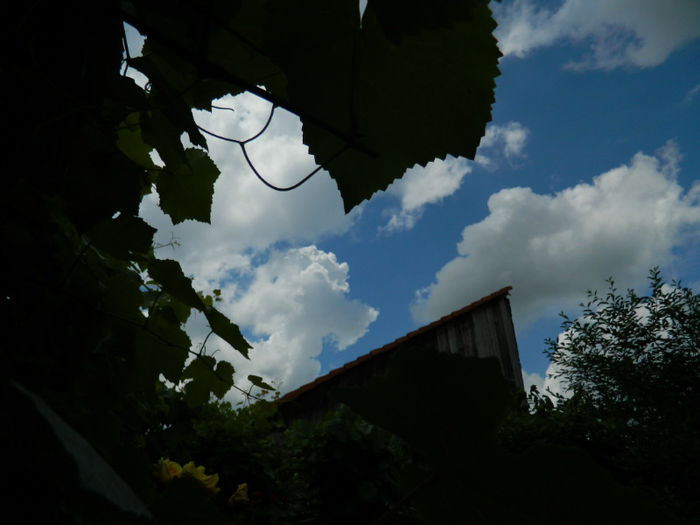 DSCN3723