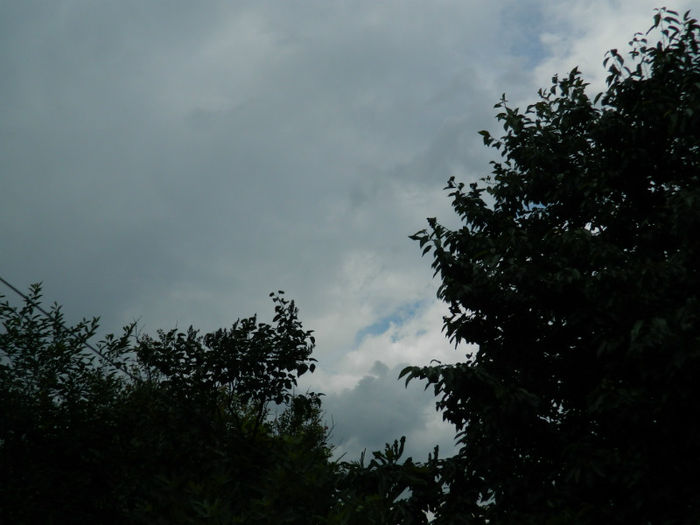 DSCN3762 - IUNIE 2013