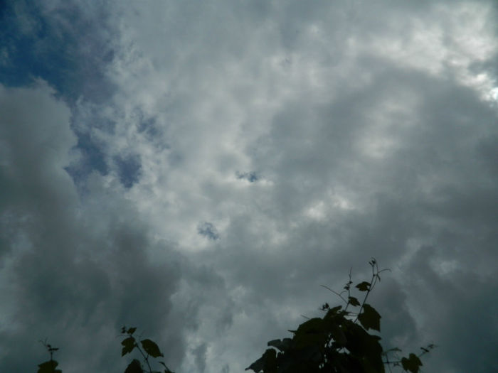 DSCN3766 - IUNIE 2013