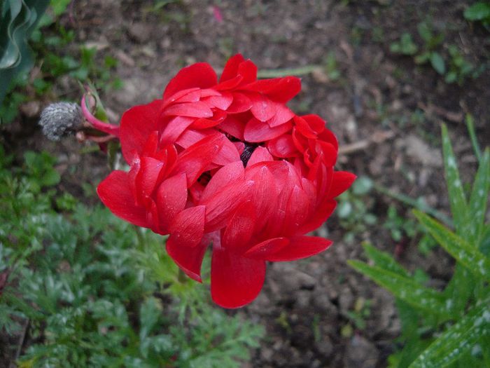 Picture 2973 - Mirajul verii