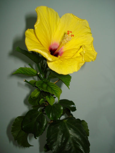 DSC07372