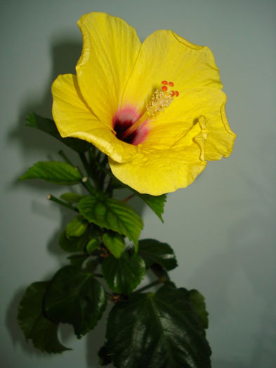 DSC07373