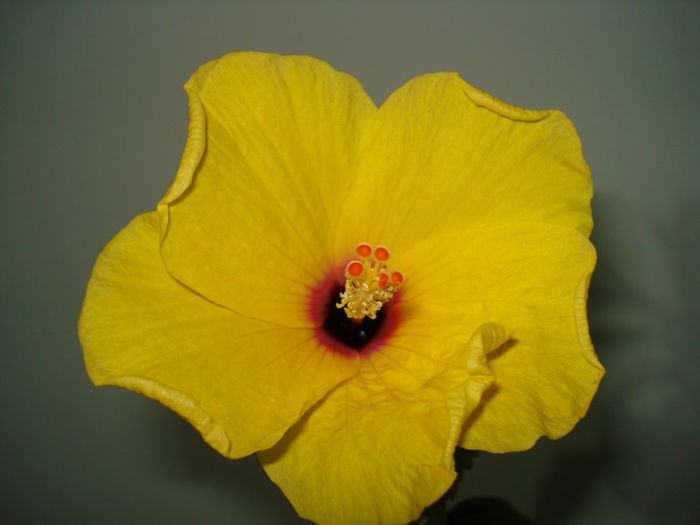 DSC07370