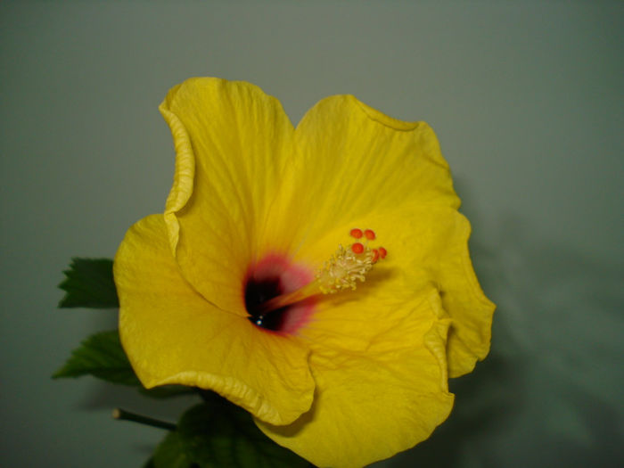 DSC07374