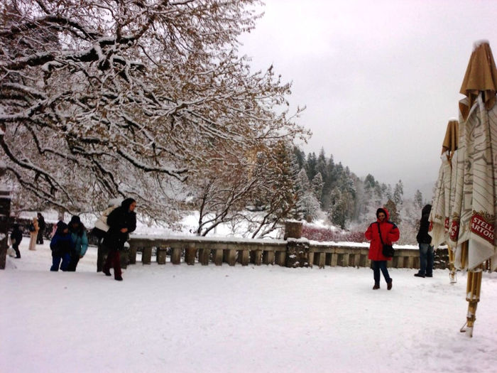 P1429_07-01-12 - 2012 01 Popasul Haiducilor Sinaia