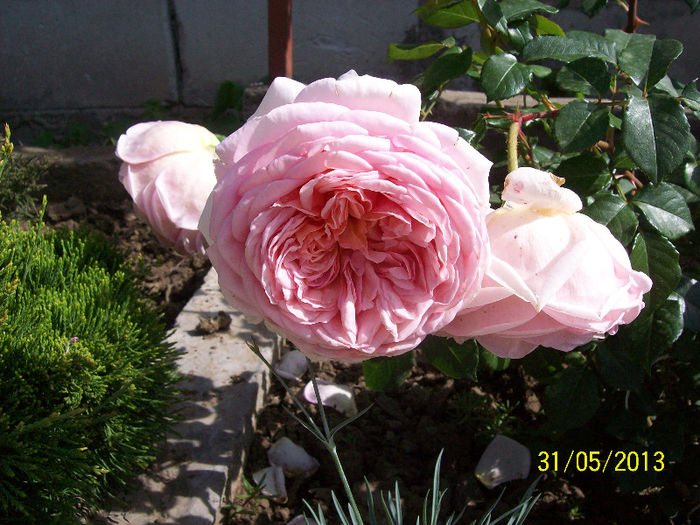 100_2427 - Abraham Darby