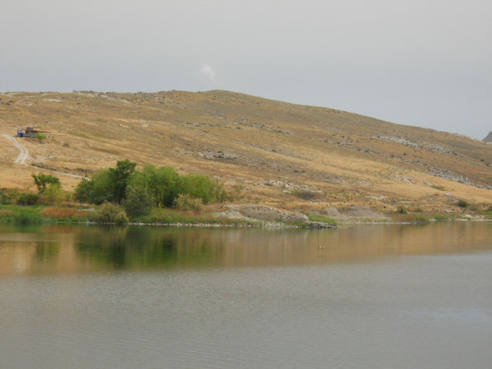 DSCN5016