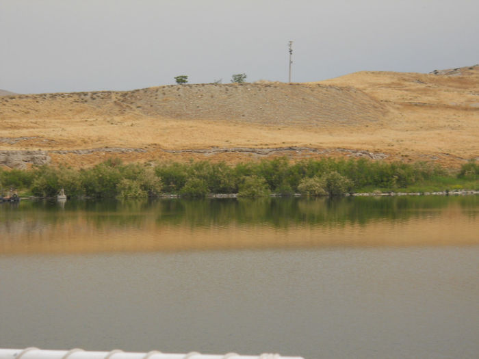 DSCN5017