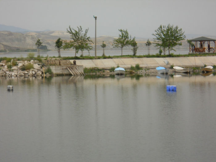 DSCN5025
