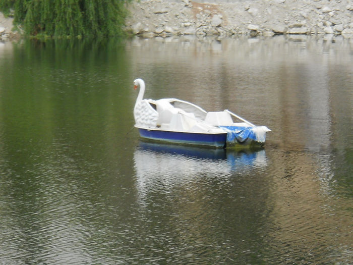 DSCN5026