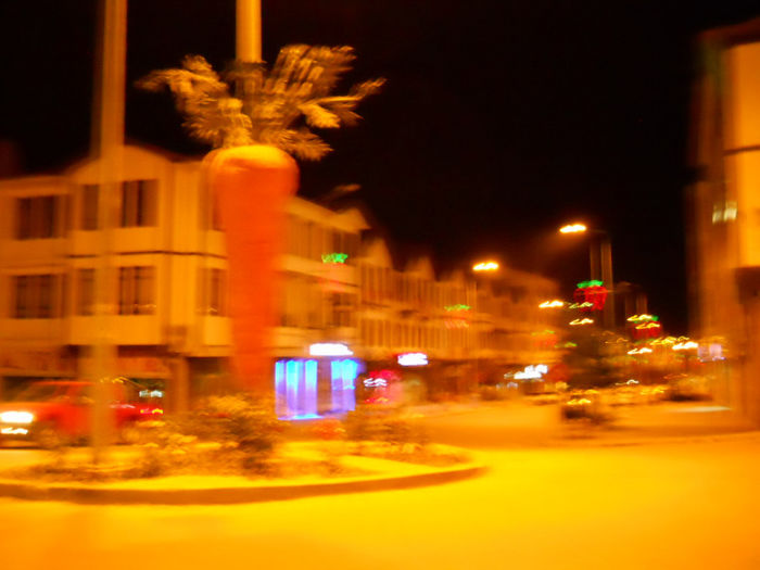 DSCN5043 - Turcia