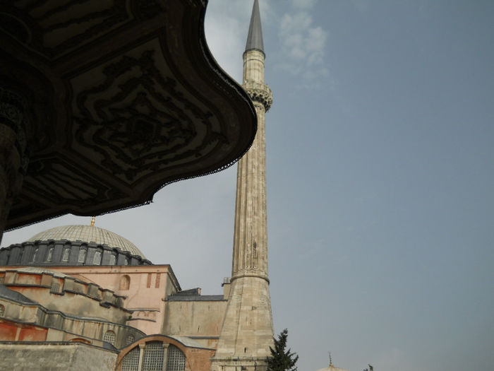 DSCN5060