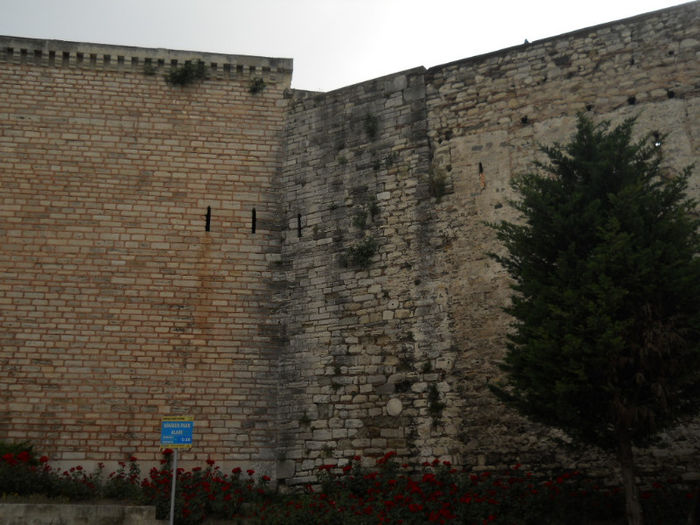 DSCN5063