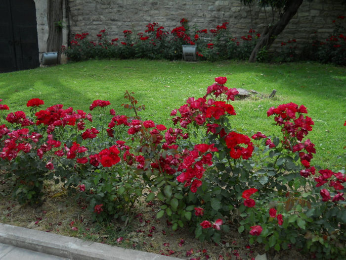 DSCN5074