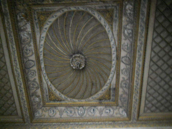 DSCN5083