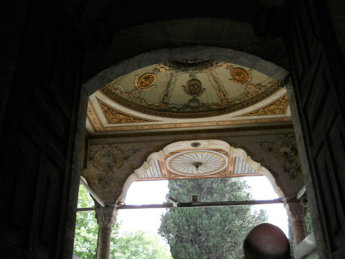 DSCN5084