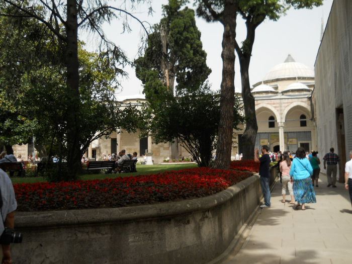 DSCN5121 - Turcia