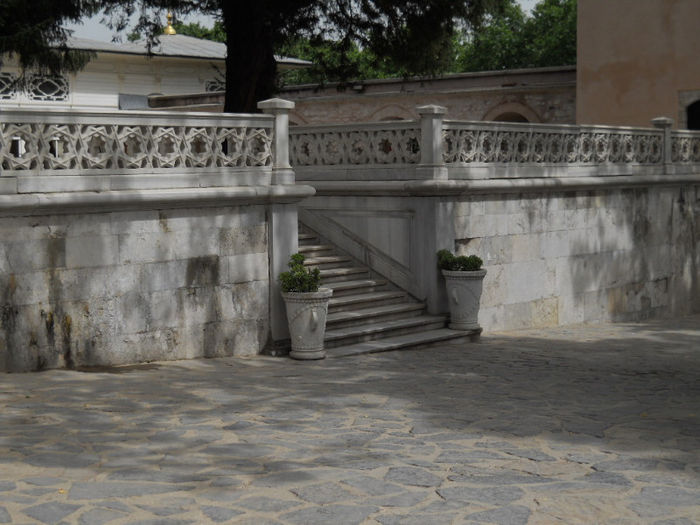 DSCN5122 - Turcia