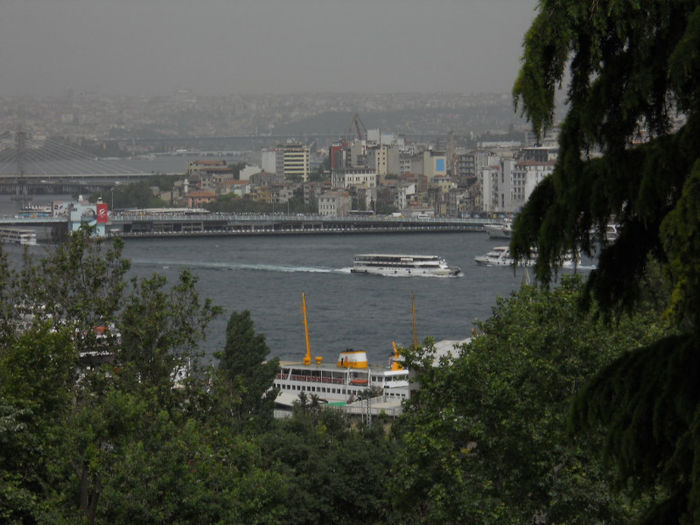 DSCN5142