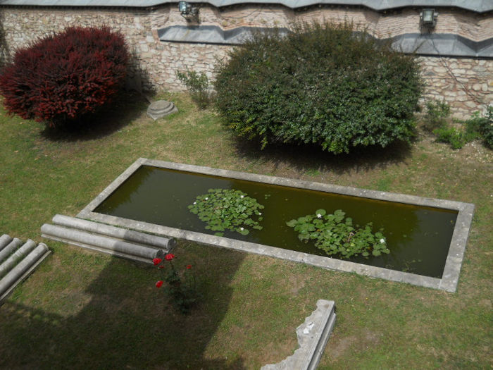DSCN5144 - Turcia