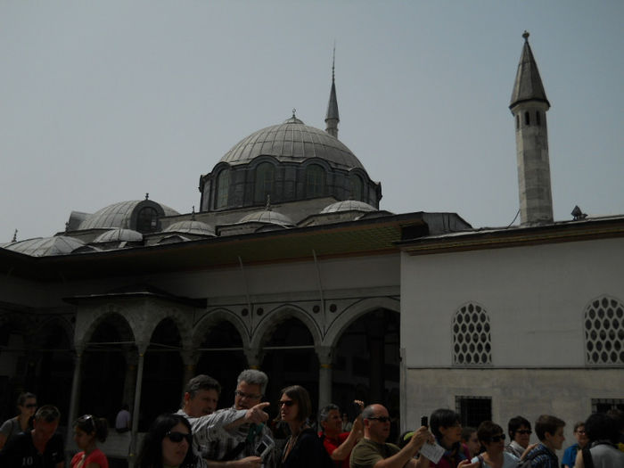 DSCN5146