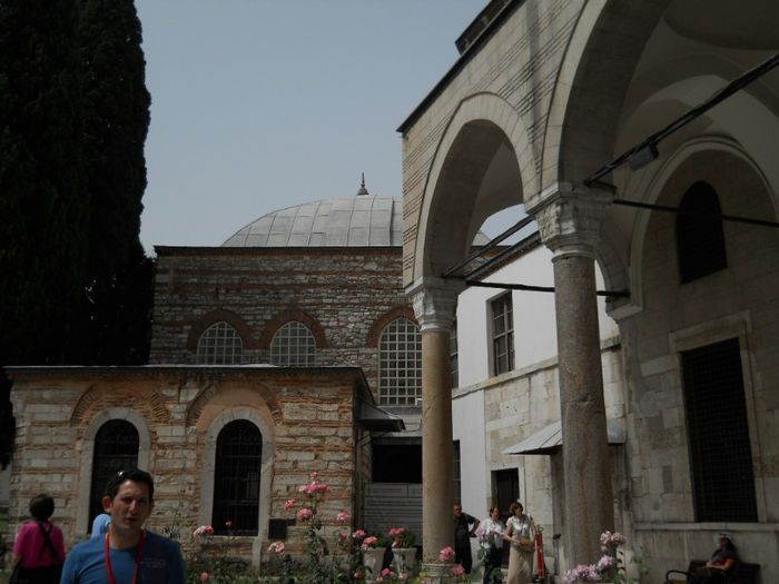 DSCN5174