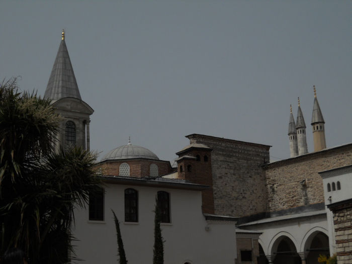 DSCN5176 - Turcia