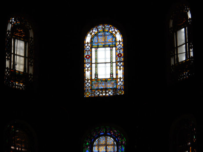 DSCN5204