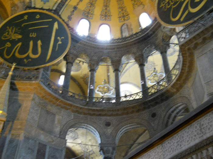 DSCN5209