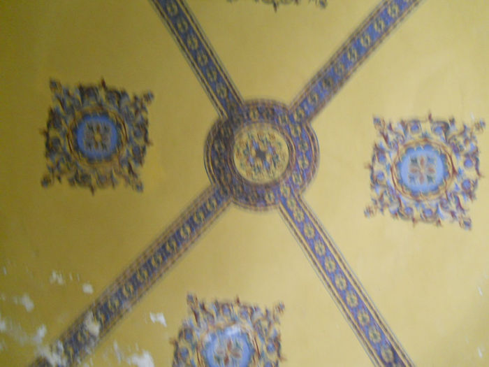 DSCN5219