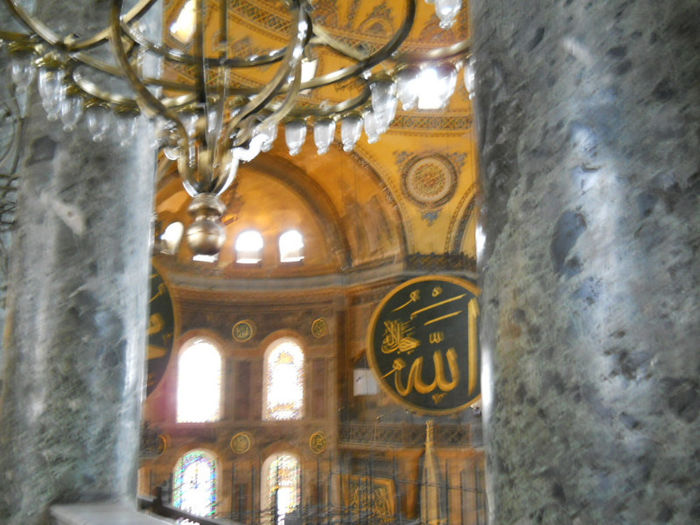 DSCN5225