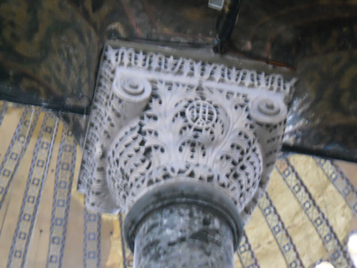 DSCN5228