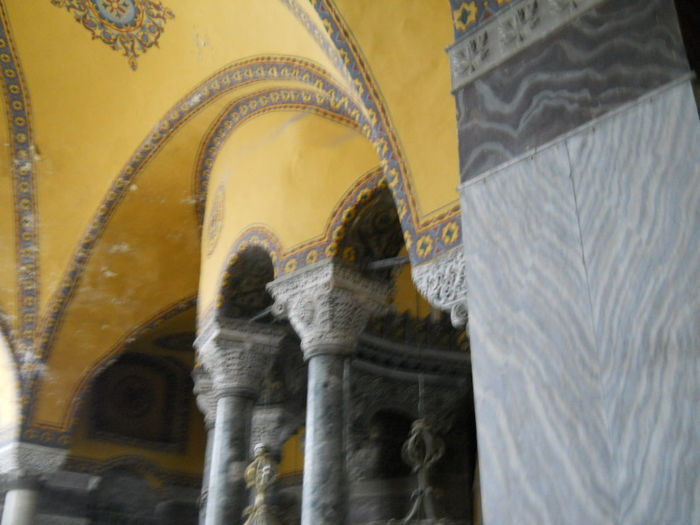 DSCN5235