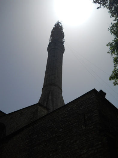 DSCN5249