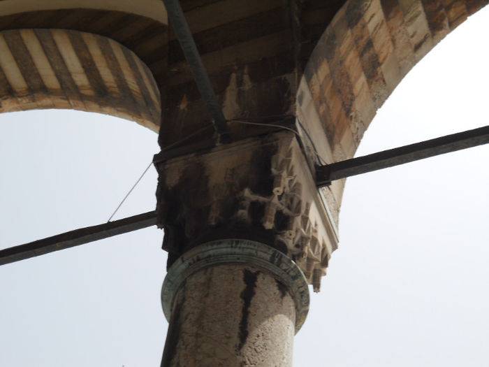 DSCN5268 - Turcia