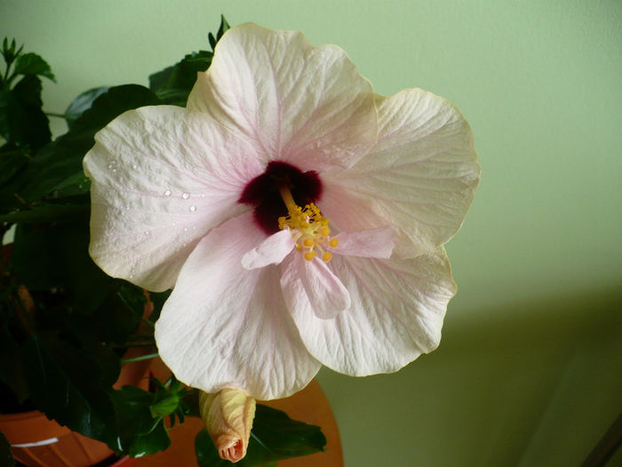 P1440463