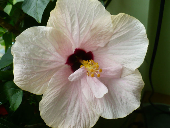 P1440477