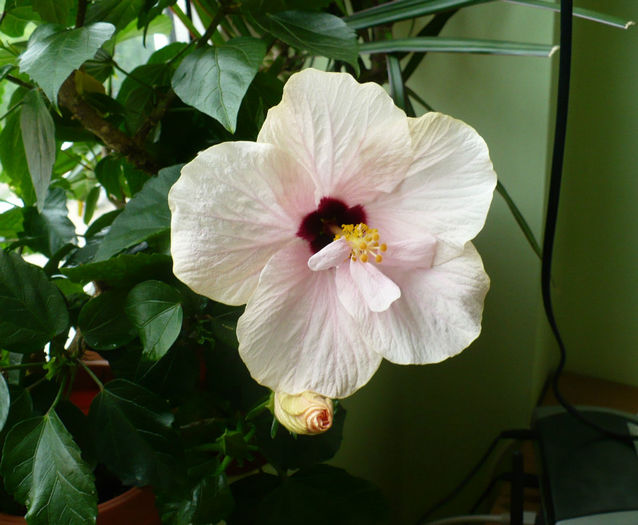 P1440478