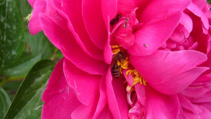 Picture 3088 - Mirajul verii