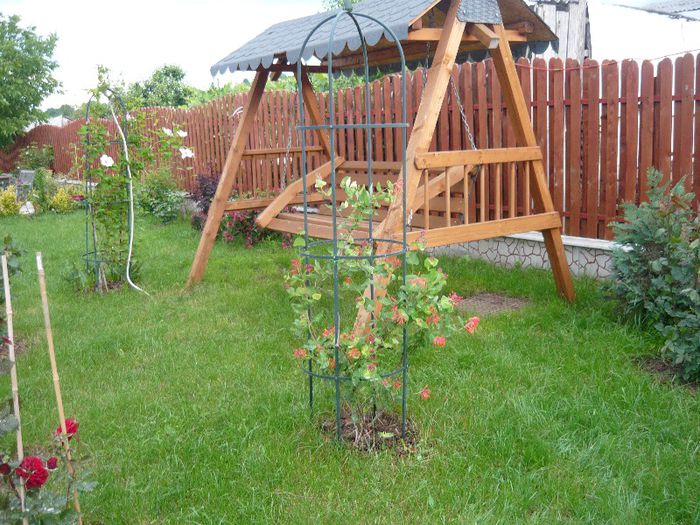 Picture 2875 - Mirajul verii