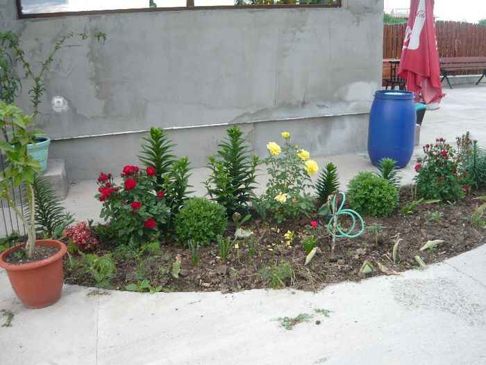 Picture 2913 - Mirajul verii