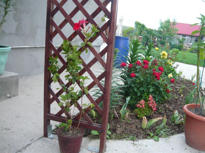 Picture 2916 - Mirajul verii